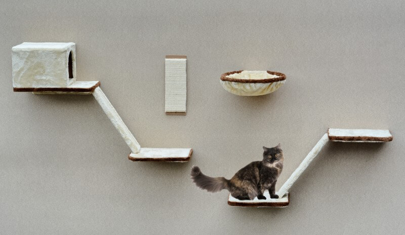 arbre a chat fixation murale